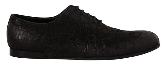 Boutures d'oxford en cuir de caïman noir pour homme de Dolce & Gabbana