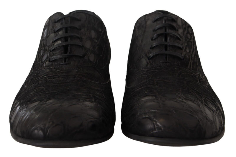 Dolce & Gabbana Black Caiman Leather Men's Oxford Shoes