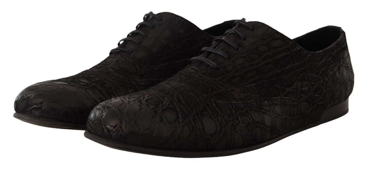 Dolce & Gabbana Black Caiman Leather Men's Oxford Shoes