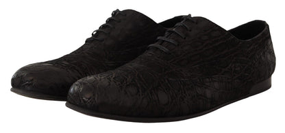 Boutures d'oxford en cuir de caïman noir pour homme de Dolce & Gabbana