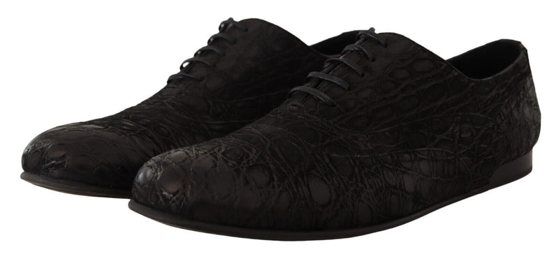 Dolce & Gabbana Black Caiman Leather Men's Oxford Shoes