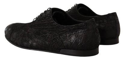 Boutures d'oxford en cuir de caïman noir pour homme de Dolce & Gabbana