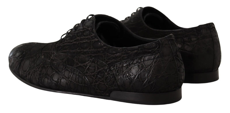 Dolce & Gabbana Black Caiman Leather Men's Oxford Shoes