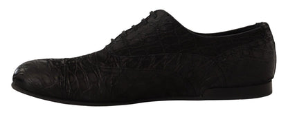 Boutures d'oxford en cuir de caïman noir pour homme de Dolce & Gabbana