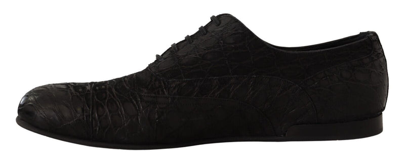 Dolce & Gabbana Black Caiman Leather Men's Oxford Shoes