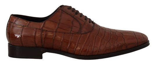 Dolce & Gabbana Bruine Formele Derby Schoenen van Alligatorleer voor Heren