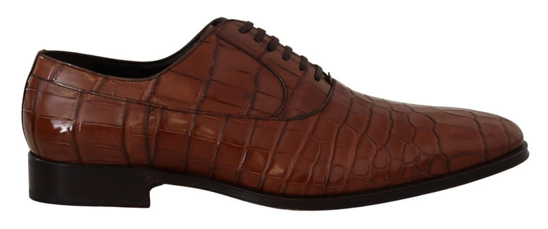 Dolce & Gabbana Brown Crocodile Leather Men's Formal Derby Shoes