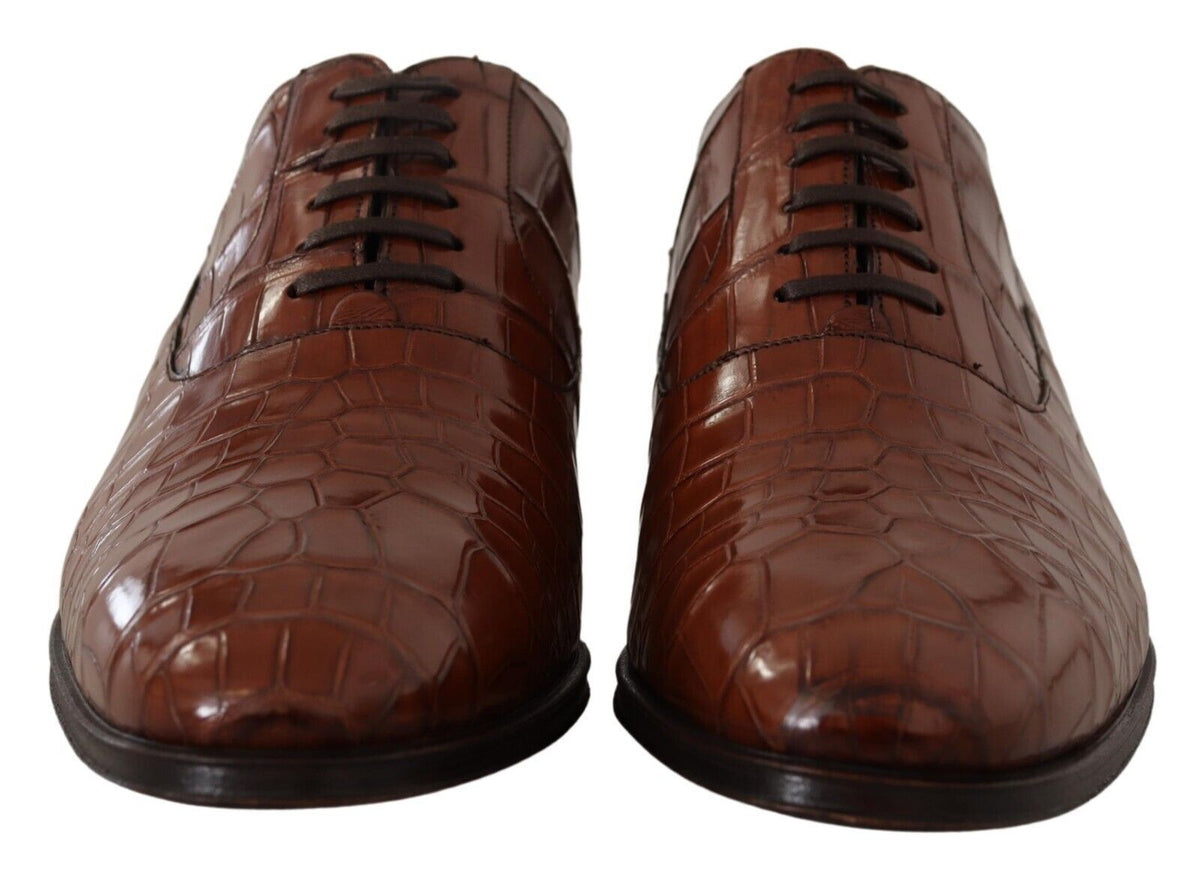 Dolce & Gabbana Brown Crocodile Leather Men's Formal Derby Shoes