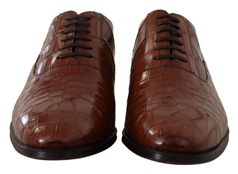Dolce & Gabbana Brown Crocodile Leather Men's Formal Derby Shoes