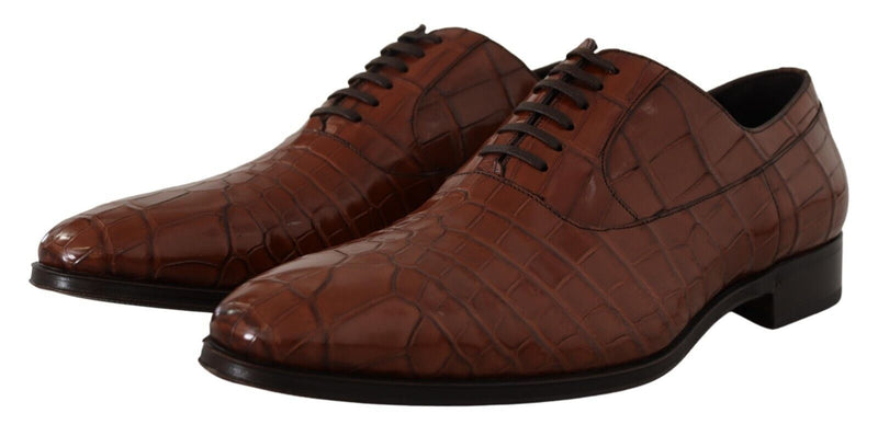 Dolce & Gabbana Brown Crocodile Leather Men's Formal Derby Shoes