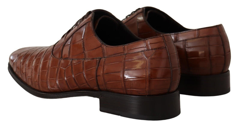 Dolce & Gabbana Brown Crocodile Leather Men's Formal Derby Shoes