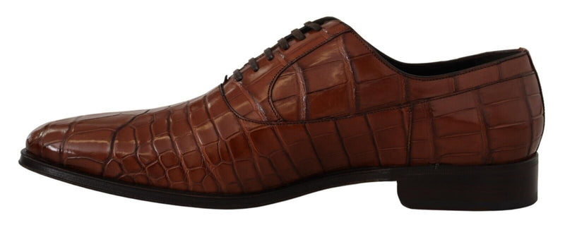 Dolce & Gabbana Brown Crocodile Leather Men's Formal Derby Shoes