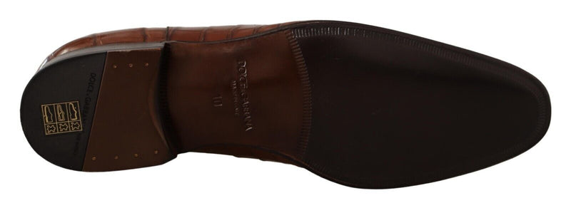 Dolce & Gabbana Brown Crocodile Leather Men's Formal Derby Shoes