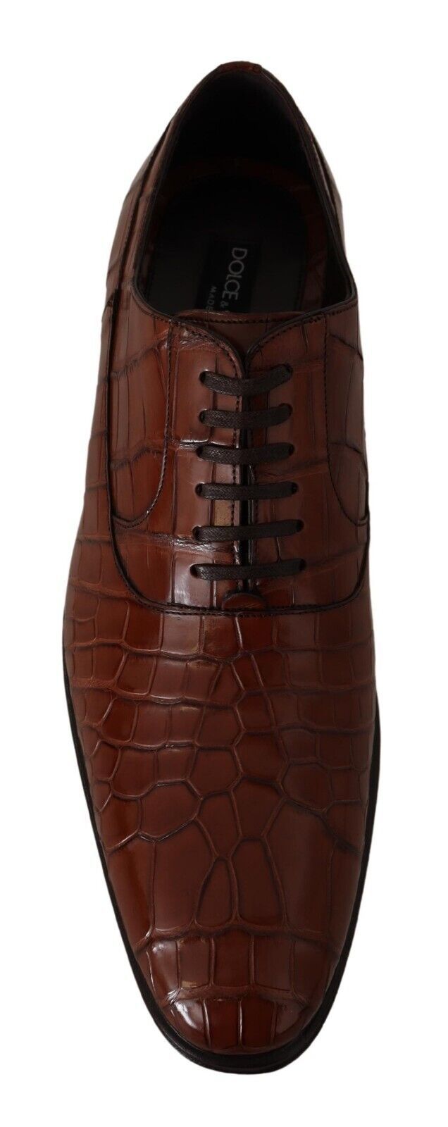 Dolce & Gabbana Brown Crocodile Leather Men's Formal Derby Shoes