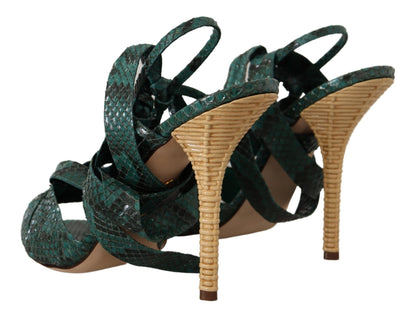 Sandales à talons hauts en python vert avec bride de Dolce & Gabbana