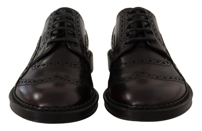 Chaussures habillées en cuir violet à bout en aile de marque Dolce & Gabbana