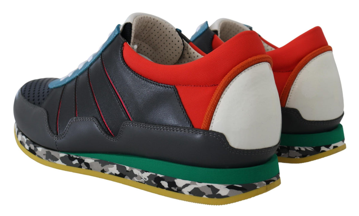 Sneakers basses de sport multicolores Dolce & Gabbana