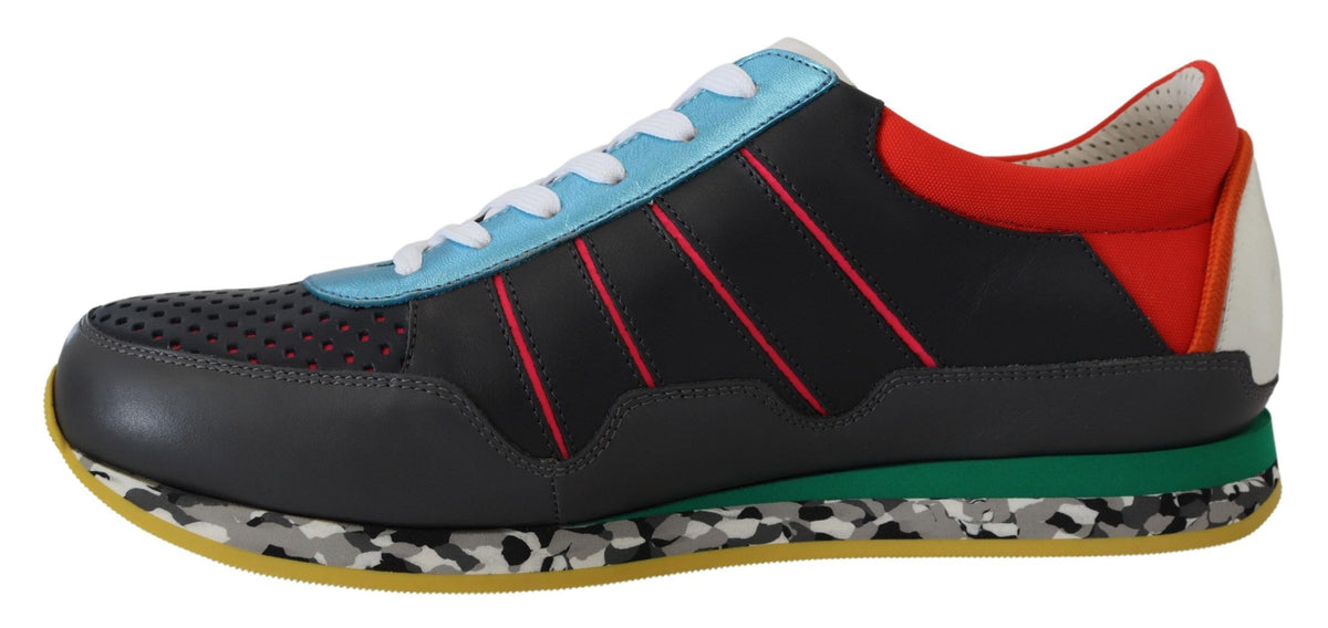 Sneakers basses de sport multicolores Dolce & Gabbana