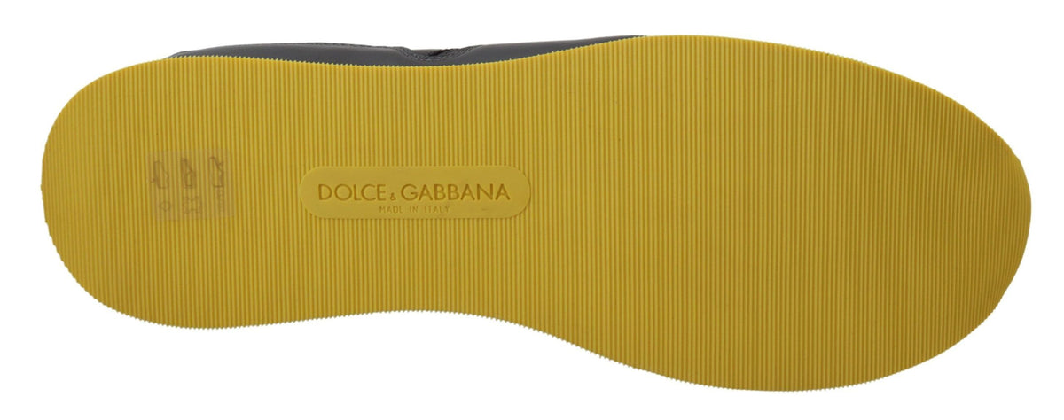 Sneakers basses de sport multicolores Dolce & Gabbana
