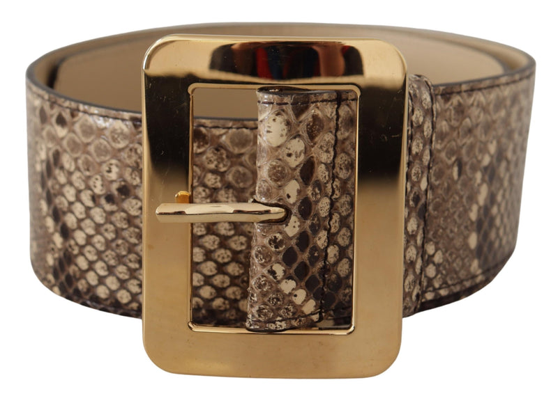 Dolce & Gabbana Ceinture Large en Cuir Python Marron avec Boucle Dorée