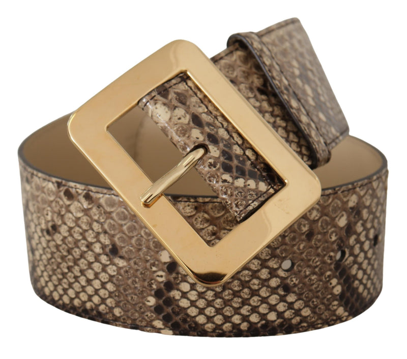 Dolce & Gabbana Ceinture Large en Cuir Python Marron avec Boucle Dorée