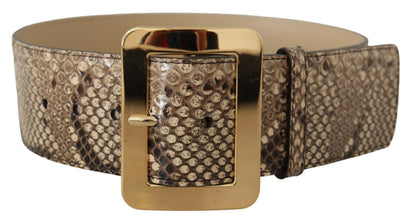 Dolce & Gabbana Bruine Exotische Brede Taille Leren Gouden Metalen Gesp Riem