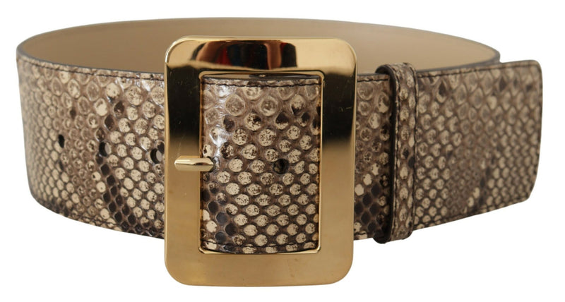 Dolce & Gabbana Ceinture Large en Cuir Python Marron avec Boucle Dorée