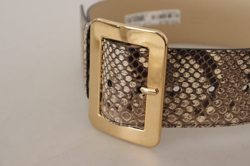 Dolce & Gabbana Ceinture Large en Cuir Python Marron avec Boucle Dorée