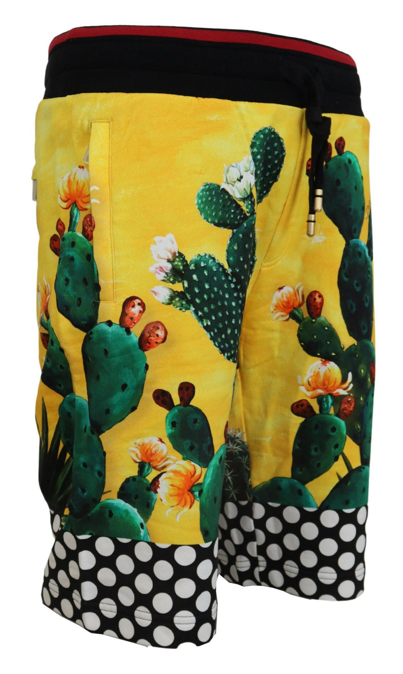 Shorts de survêtement en coton à imprimé cactus multicolore de Dolce &amp; Gabbana