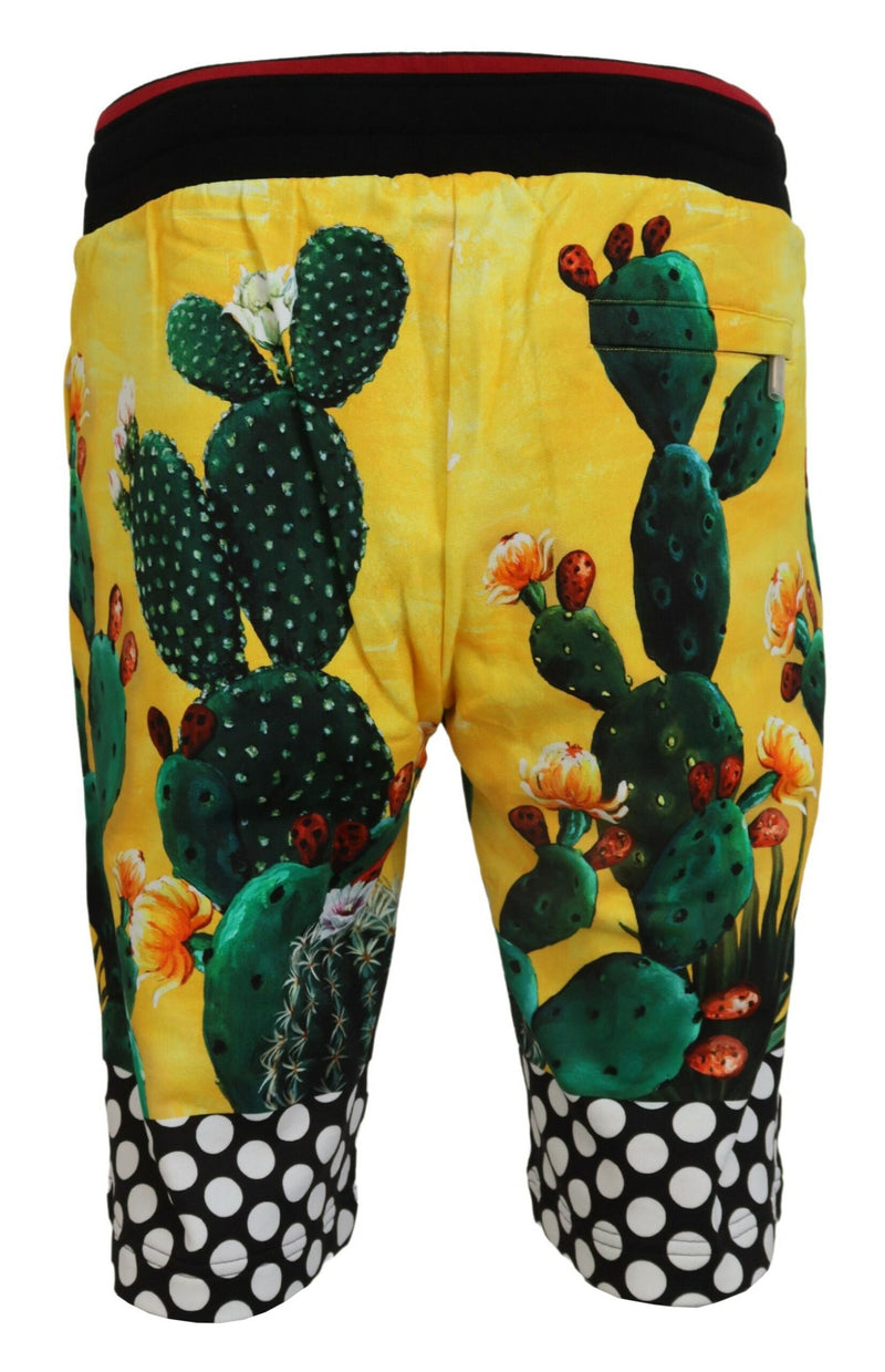 Shorts de survêtement en coton à imprimé cactus multicolore de Dolce &amp; Gabbana