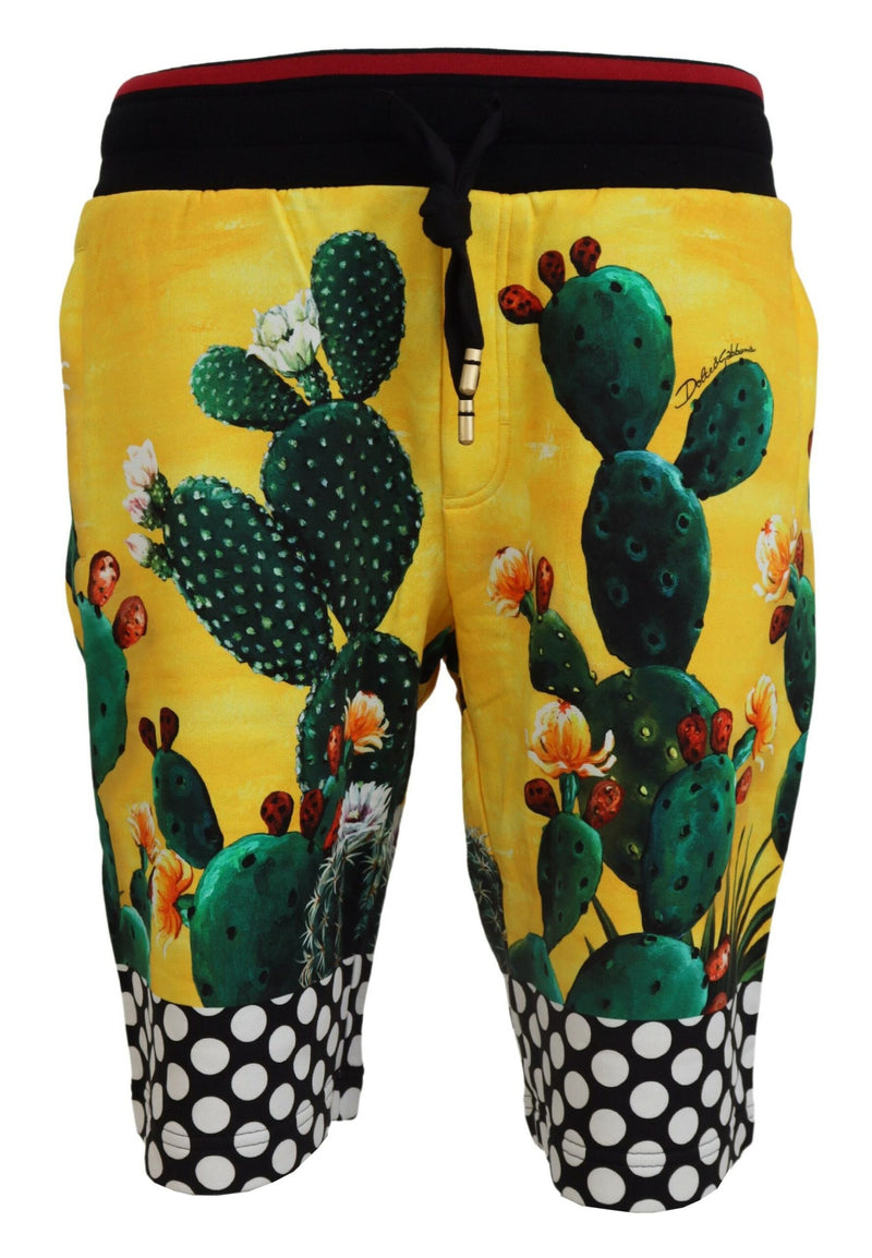 Shorts de survêtement en coton à imprimé cactus multicolore de Dolce &amp; Gabbana