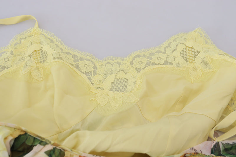 Robe Maxi Longue Multicolore en Soie Imprimée Florale Dolce & Gabbana