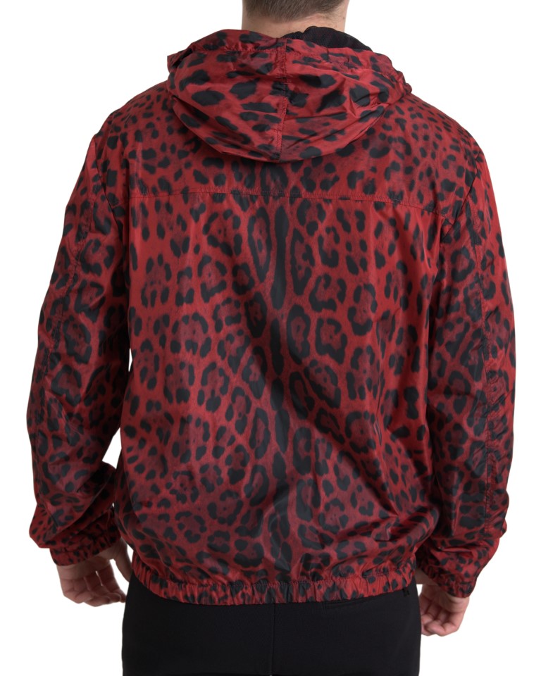 Veste bomber à capuche et fermeture éclair, imprimé léopard rouge, Dolce & Gabbana