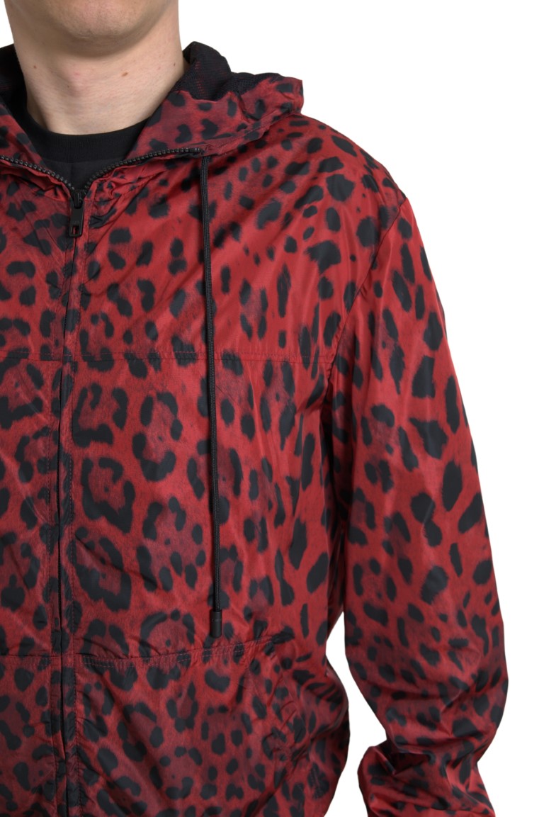 Veste bomber à capuche et fermeture éclair, imprimé léopard rouge, Dolce & Gabbana