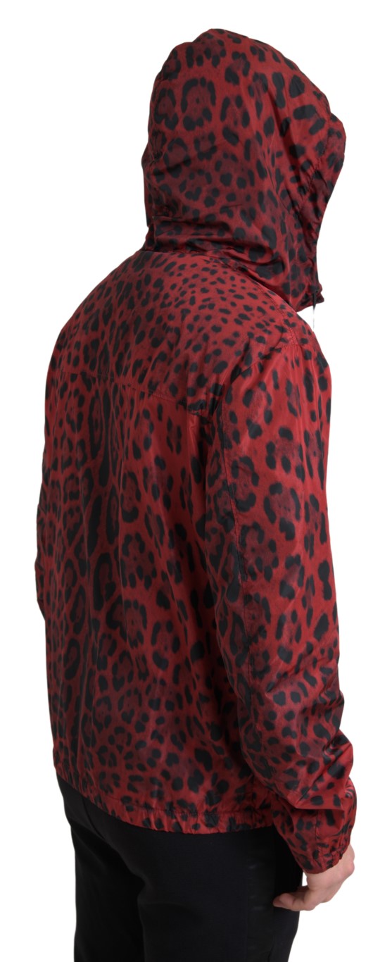 Veste bomber à capuche et fermeture éclair, imprimé léopard rouge, Dolce & Gabbana