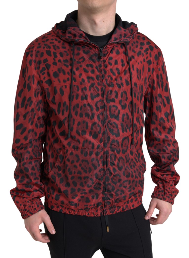 Veste bomber à capuche et fermeture éclair, imprimé léopard rouge, Dolce & Gabbana