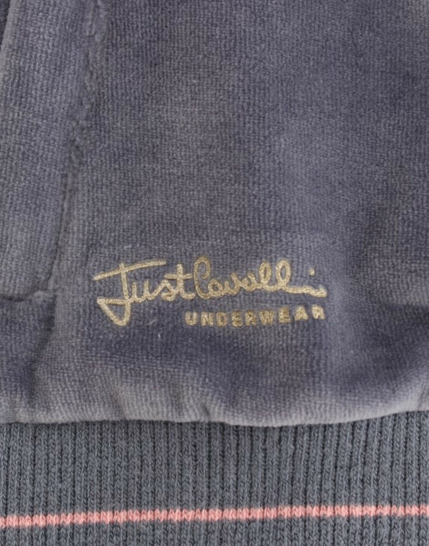 Pull en velours bleu Cavalli à fermeture éclair