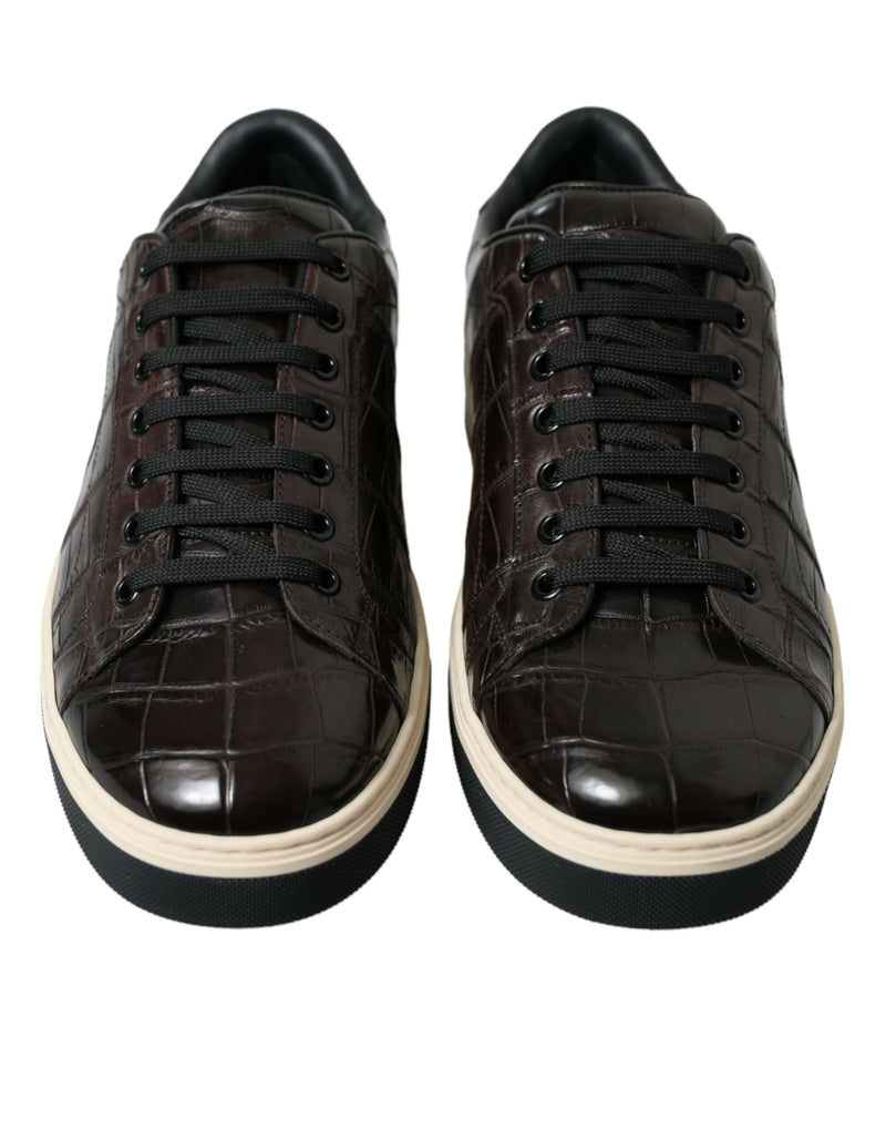 Dolce & Gabbana Brown Croc Exotic Leather Men Casual Sneakers