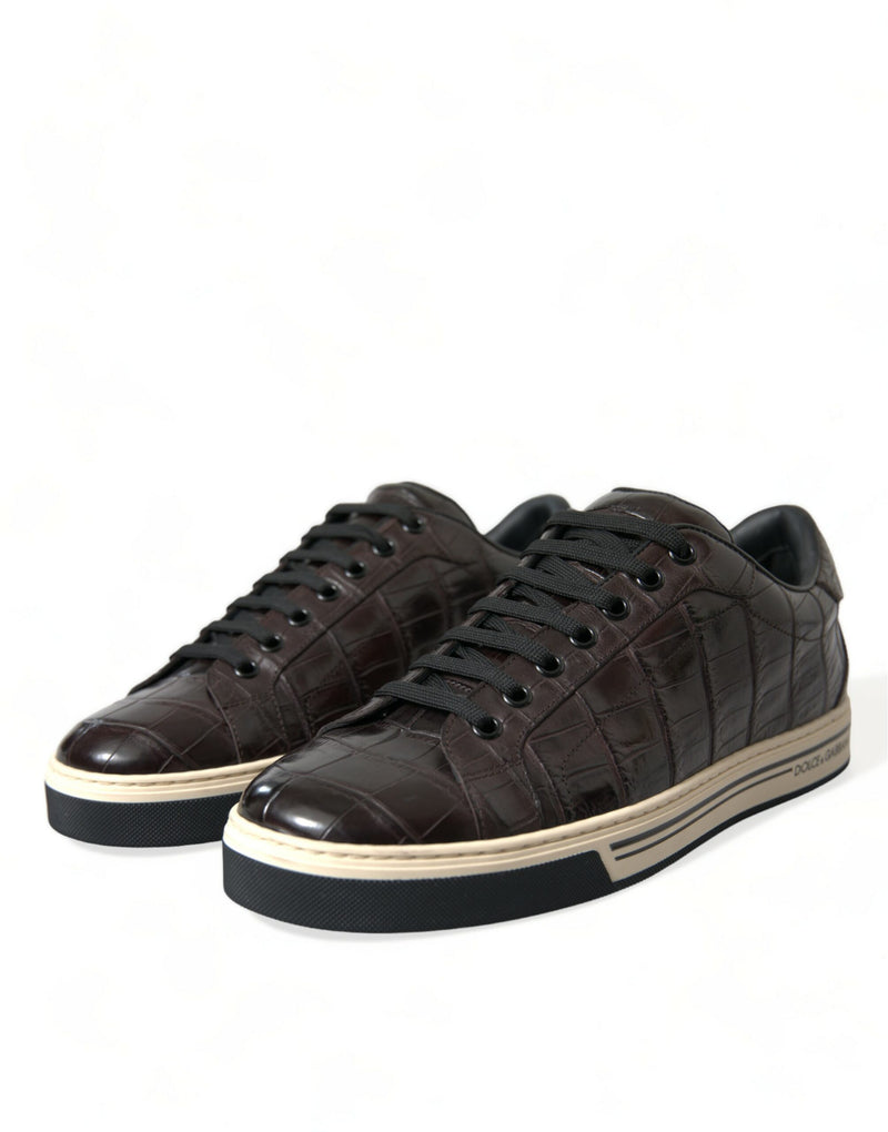 Dolce & Gabbana Brown Croc Exotic Leather Men Casual Sneakers