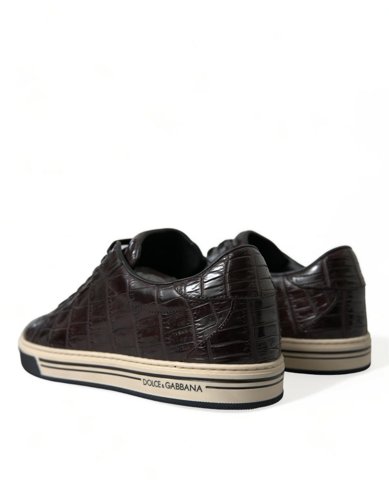 Dolce & Gabbana Brown Croc Exotic Leather Men Casual Sneakers