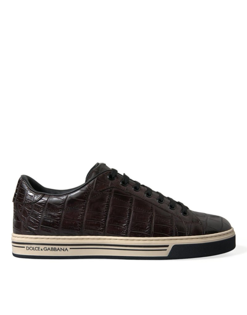 Dolce & Gabbana Brown Croc Exotic Leather Men Casual Sneakers