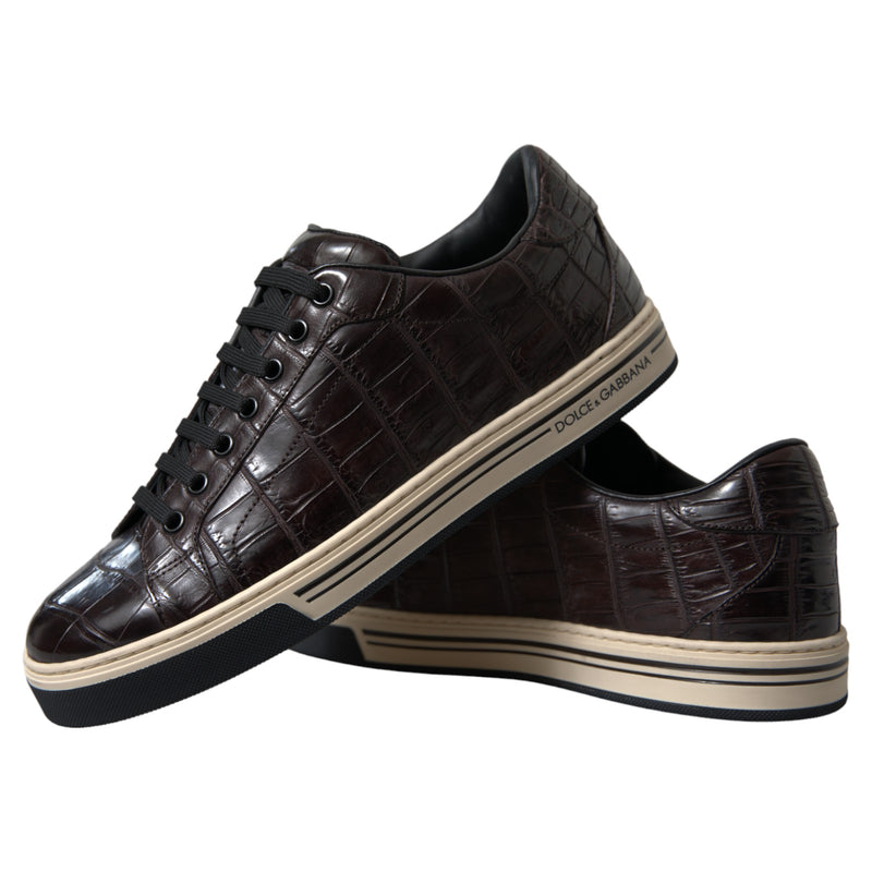 Dolce & Gabbana Brown Croc Exotic Leather Men Casual Sneakers