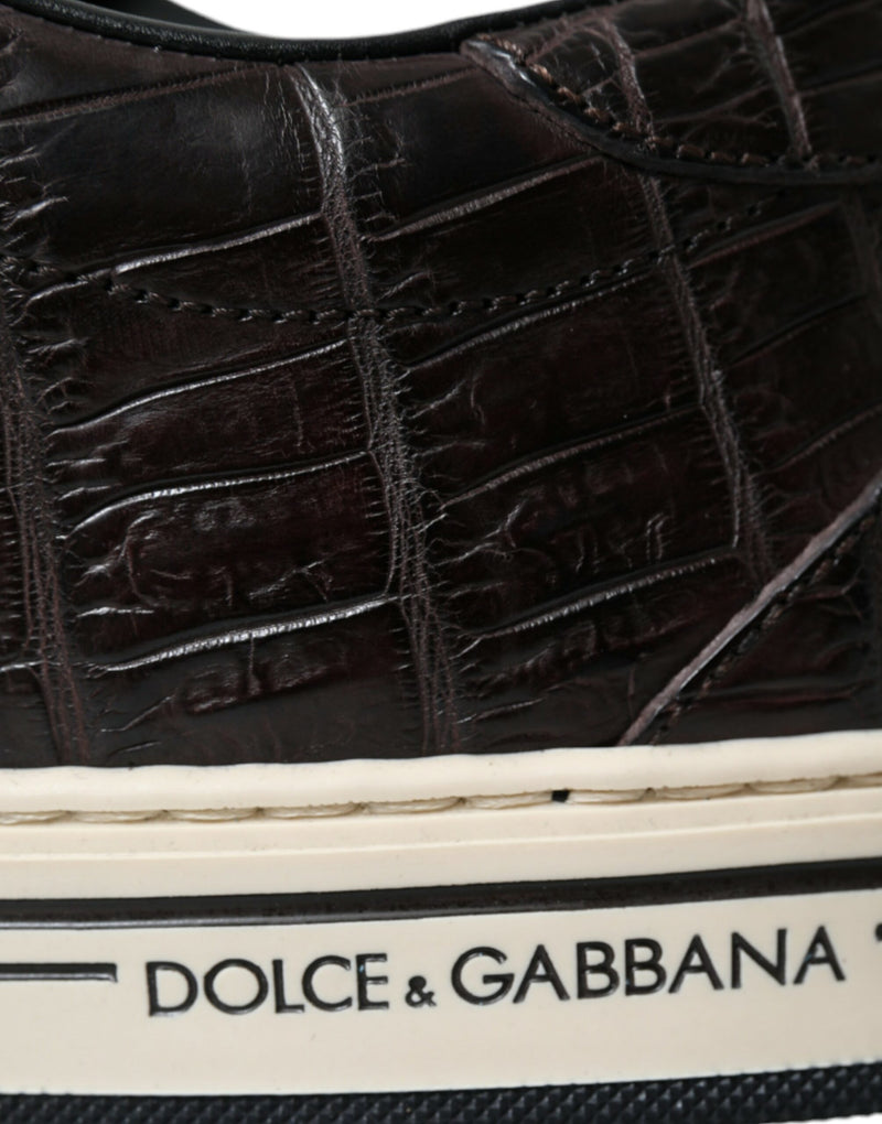 Dolce & Gabbana Brown Croc Exotic Leather Men Casual Sneakers