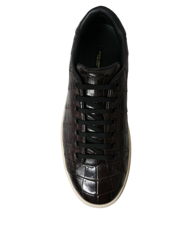 Dolce & Gabbana Brown Croc Exotic Leather Men Casual Sneakers