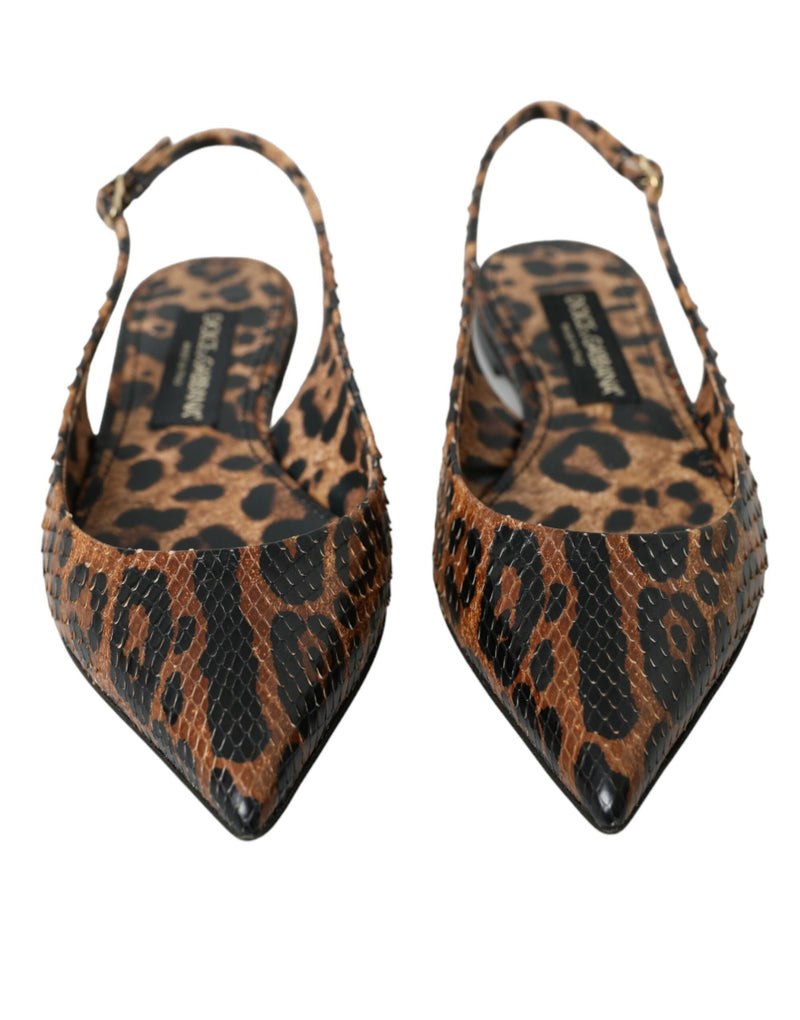 Dolce & Gabbana Brown Leopard Python Skin Slingback Flats