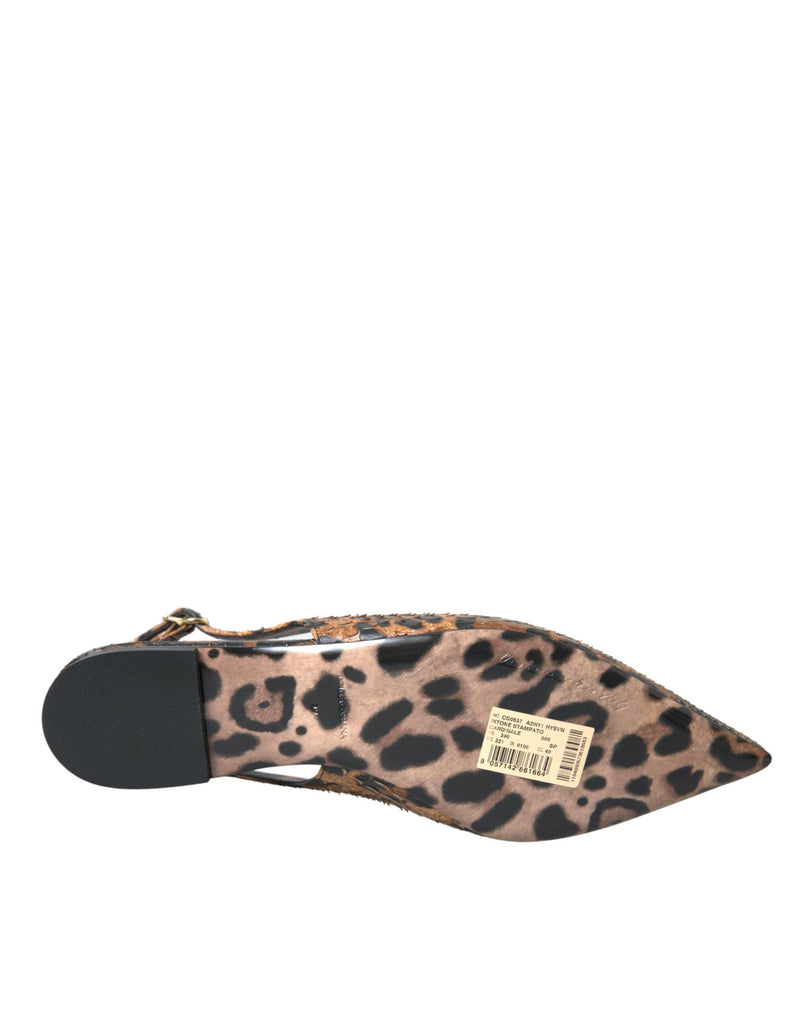 Dolce & Gabbana Brown Leopard Python Skin Slingback Flats