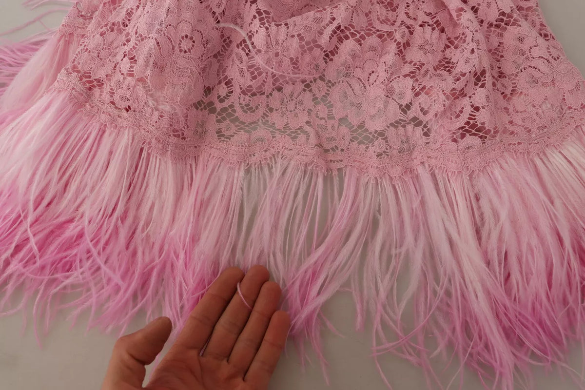 Robe Longue en Dentelle Lilas avec Plumes Dolce & Gabbana