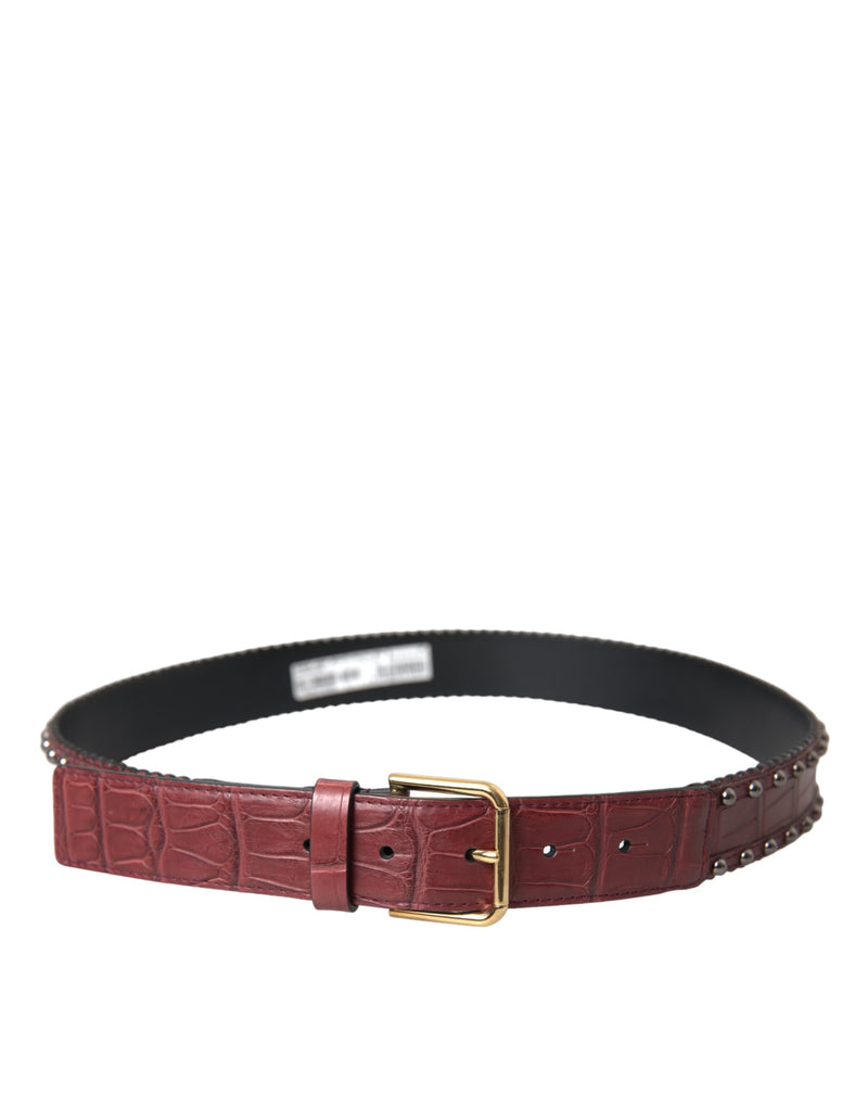 Dolce & Gabbana Ceinture en Cuir d'Alligator Marron avec Boucle Métallique