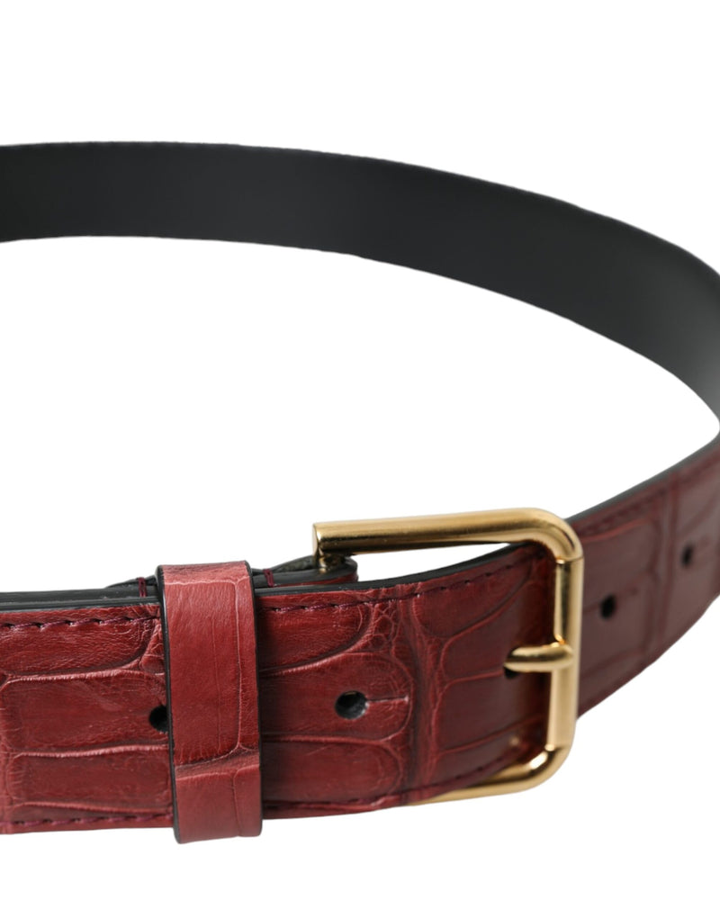 Dolce & Gabbana Ceinture en Cuir d'Alligator Marron avec Boucle Métallique