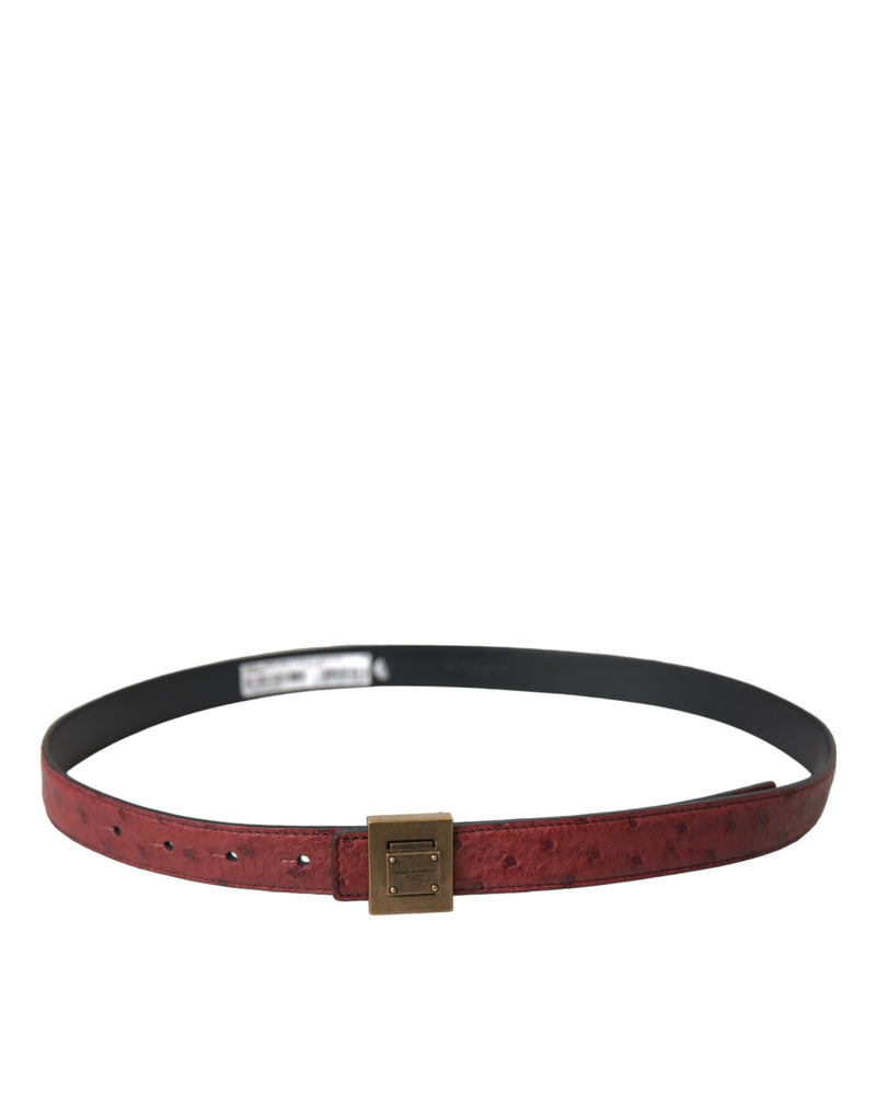Dolce & Gabbana Ceinture en Cuir Marron avec Boucle Métallique